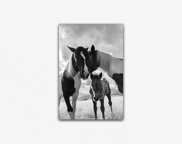 Horse Family Canvas Print