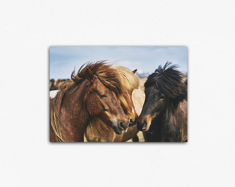 Horse Tribe Canvas Print