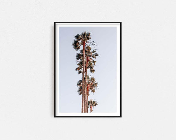 L.A Palms Framed Wall Art