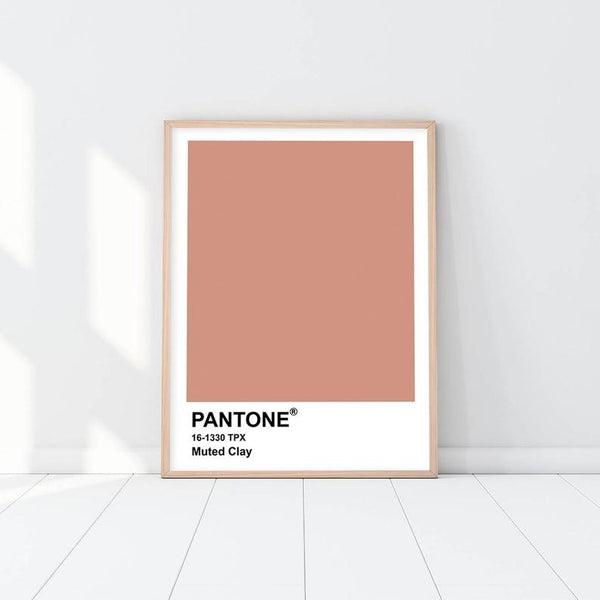 Pantone - Muted Clay