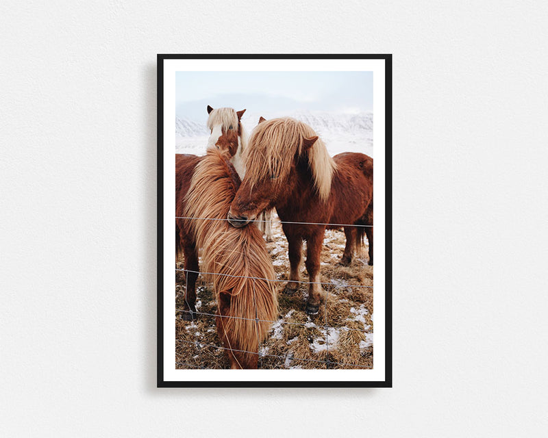 Winter Ponies Second Edition Framed Wall Art