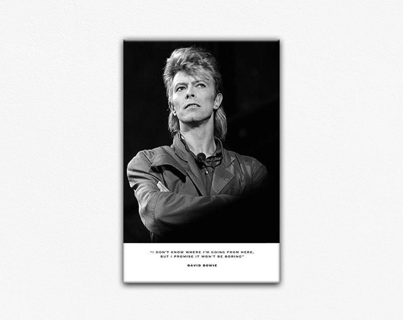 David Bowie Second Edition Canvas Print