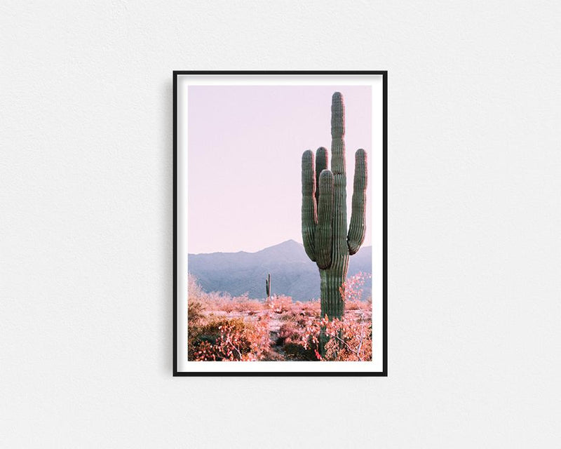 Cactus Framed Wall Art