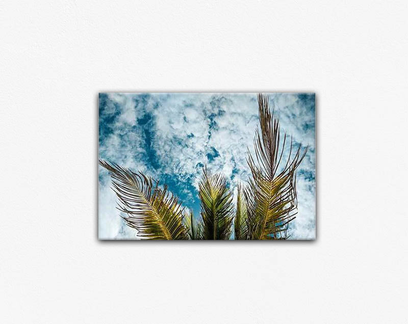 Summer Palms Canvas Print