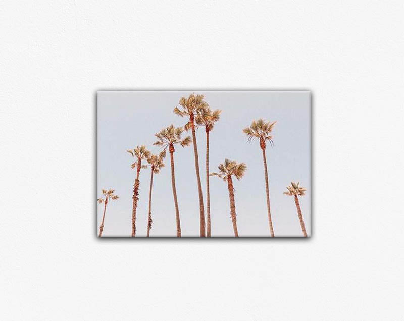 Venice Beach Palms 1 Canvas Print