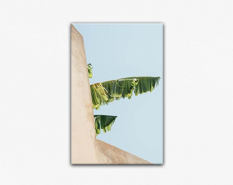 Creeping Palm Canvas Print
