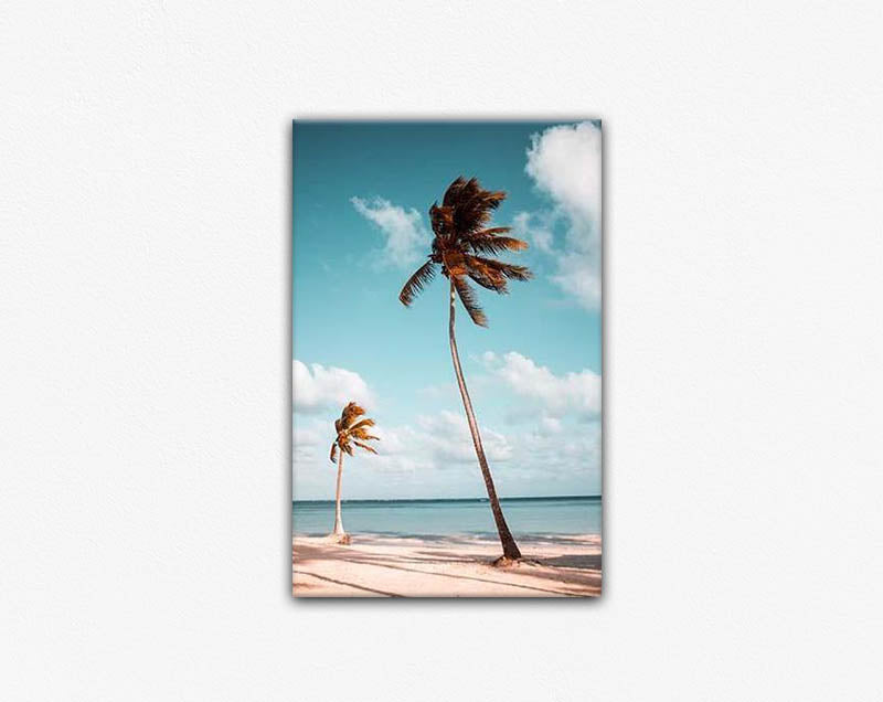Palm Breeze Canvas Print