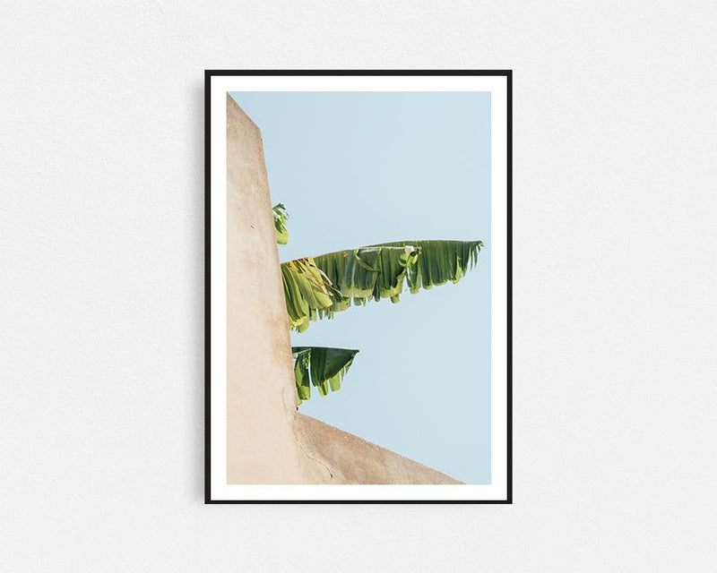 Creeping Palm Framed Wall Art