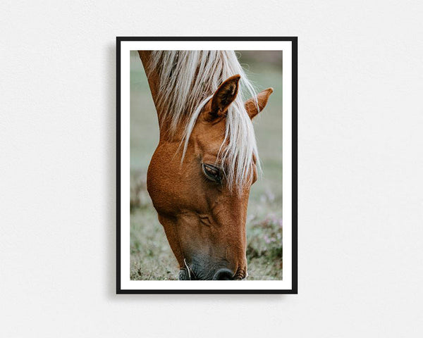 Brown Pony Grazing Framed Wall Art