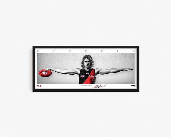 DYSON HEPPELL MINI WINGS