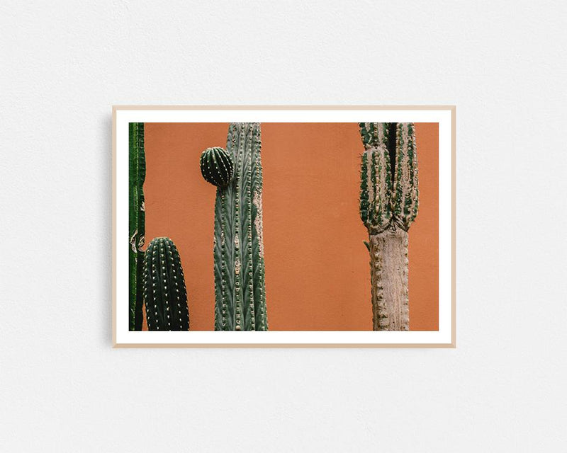 Orange Cactus