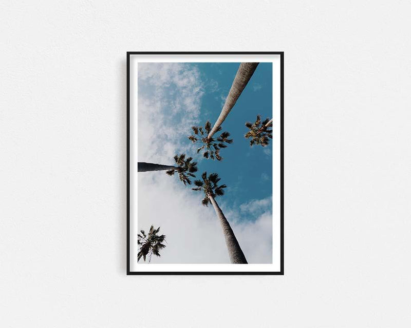 Palm Trees Framed Wall Art