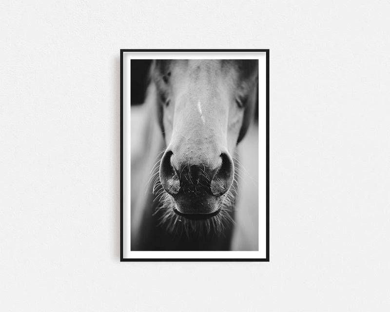 Stallion Smell Framed Wall Art