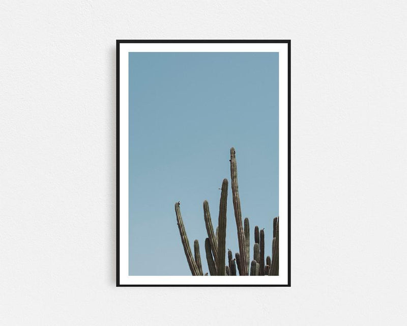 Wild Cactus Framed Wall Art